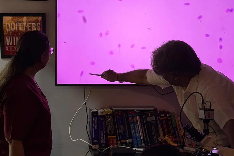Morphology projected, pointing out the defect