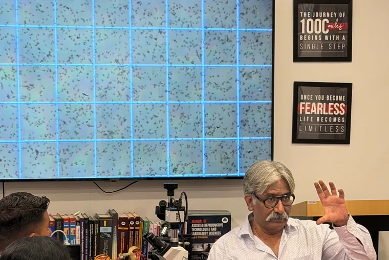 Counting chamber on screen, mid-explanation