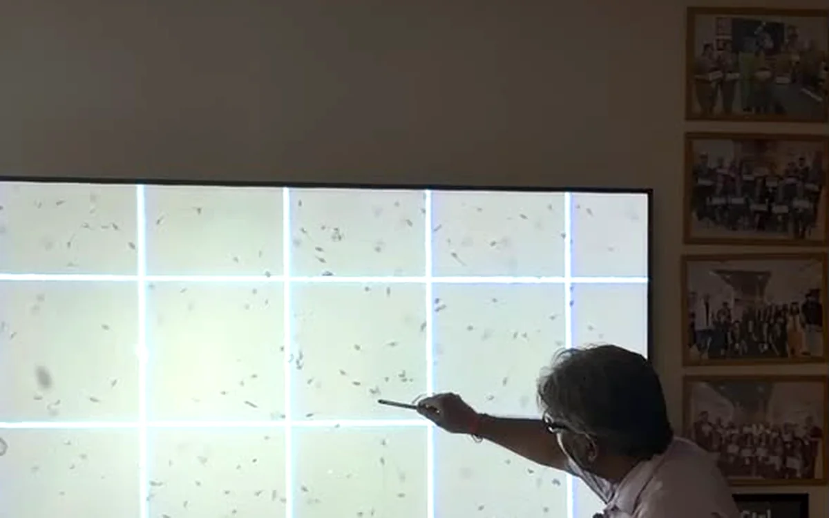 A counting chamber field projected during sperm count analysis training, sperm distributed across the grid